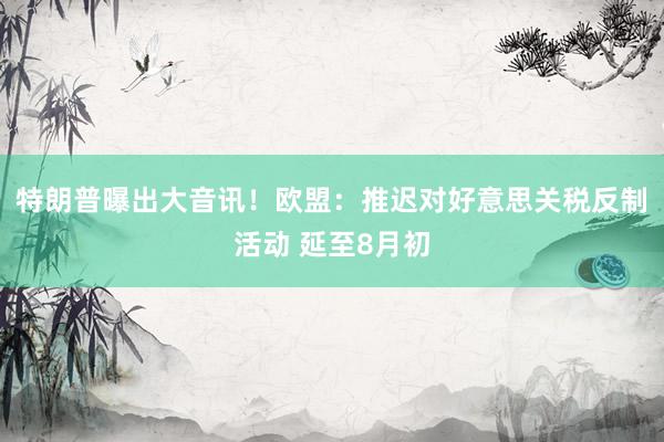 特朗普曝出大音讯！欧盟：推迟对好意思关税反制活动 延至8月初