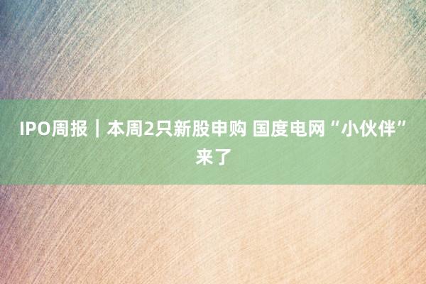 IPO周报｜本周2只新股申购 国度电网“小伙伴”来了