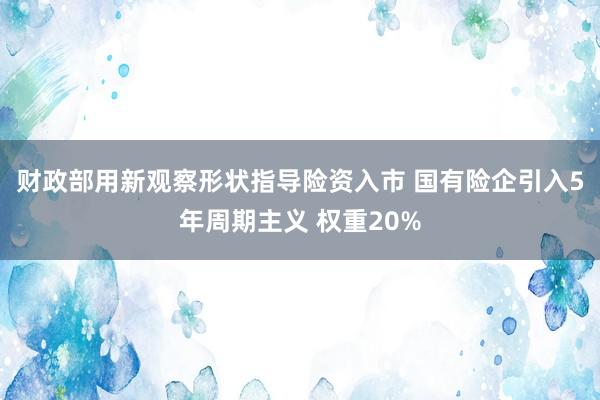 财政部用新观察形状指导险资入市 国有险企引入5年周期主义 权重20%