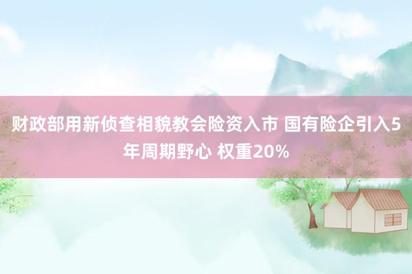 财政部用新侦查相貌教会险资入市 国有险企引入5年周期野心 权重20%