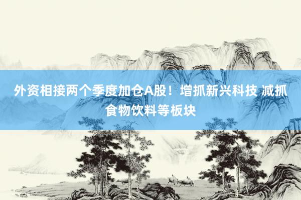 外资相接两个季度加仓A股！增抓新兴科技 减抓食物饮料等板块