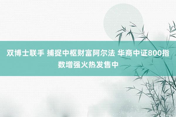 双博士联手 捕捉中枢财富阿尔法 华商中证800指数增强火热发售中