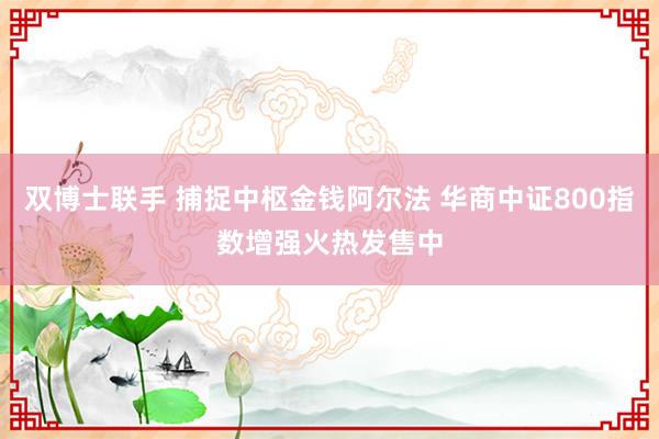 双博士联手 捕捉中枢金钱阿尔法 华商中证800指数增强火热发售中