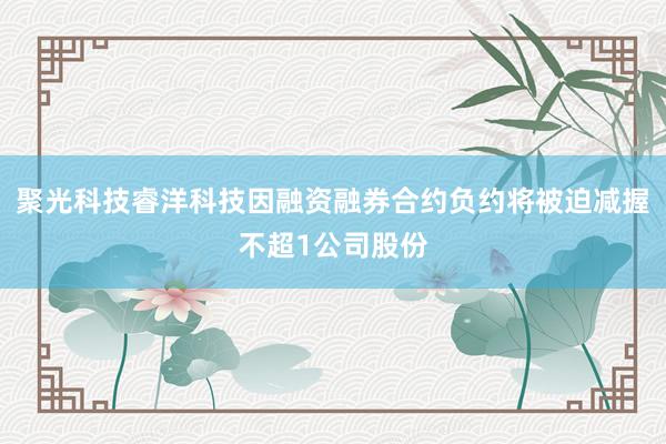 聚光科技睿洋科技因融资融券合约负约将被迫减握不超1公司股份