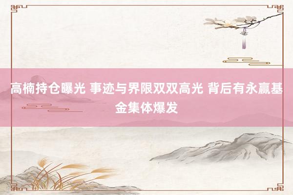 高楠持仓曝光 事迹与界限双双高光 背后有永赢基金集体爆发