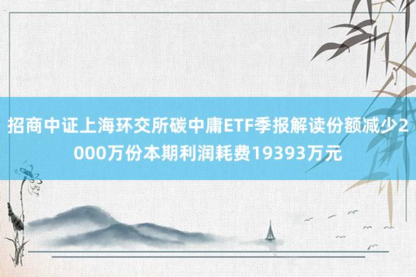 招商中证上海环交所碳中庸ETF季报解读份额减少2000万份本期利润耗费19393万元