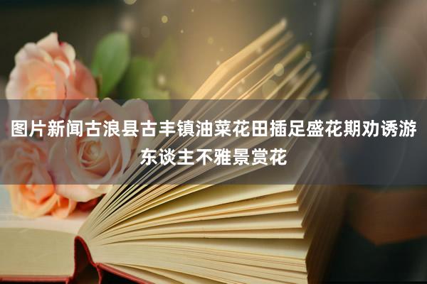 图片新闻古浪县古丰镇油菜花田插足盛花期劝诱游东谈主不雅景赏花