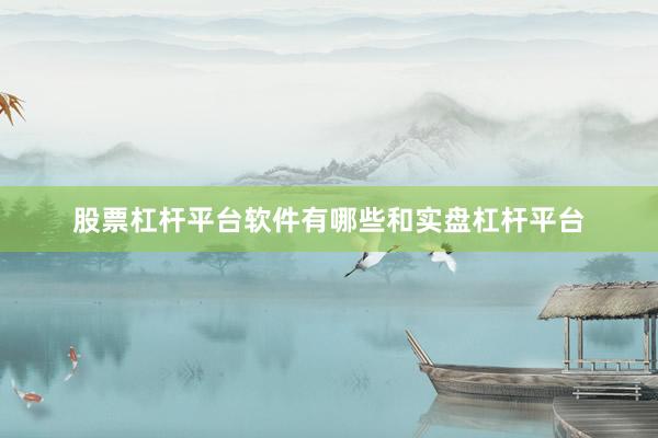 股票杠杆平台软件有哪些和实盘杠杆平台
