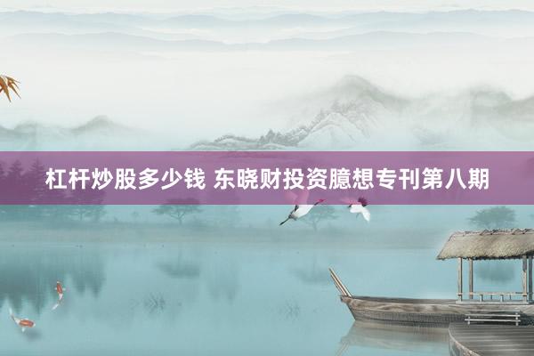 杠杆炒股多少钱 东晓财投资臆想专刊第八期