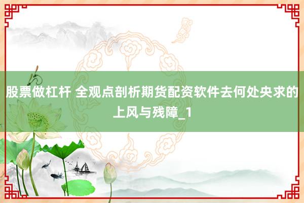 股票做杠杆 全观点剖析期货配资软件去何处央求的上风与残障_1