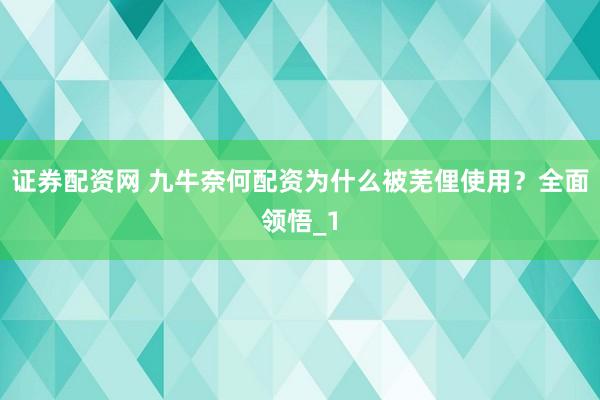 证券配资网 九牛奈何配资为什么被芜俚使用？全面领悟_1