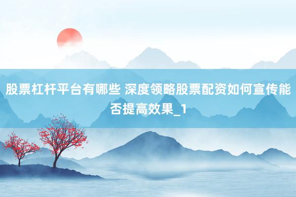 股票杠杆平台有哪些 深度领略股票配资如何宣传能否提高效果_1