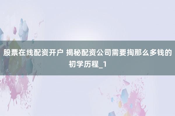 股票在线配资开户 揭秘配资公司需要掏那么多钱的初学历程_1