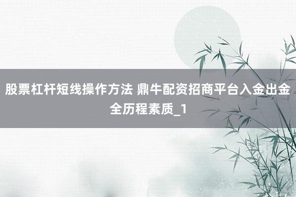 股票杠杆短线操作方法 鼎牛配资招商平台入金出金全历程素质_1