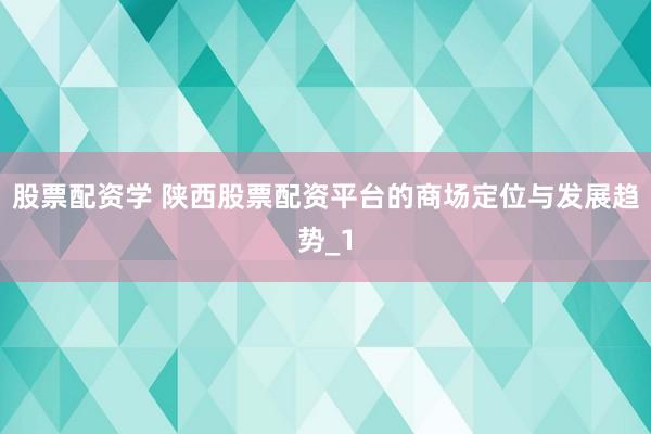 股票配资学 陕西股票配资平台的商场定位与发展趋势_1